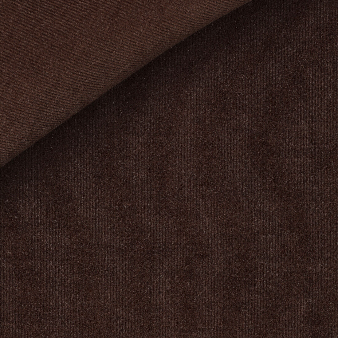 Cotton and Cashmere Blend