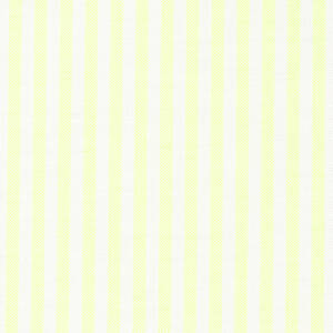 ORGANIC AMERICAN OXFORD NEON