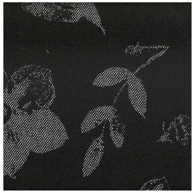 COTTON OXFORD PRINTS