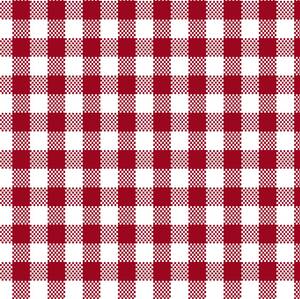 AMERICAN OXFORD CHECKERBOARD