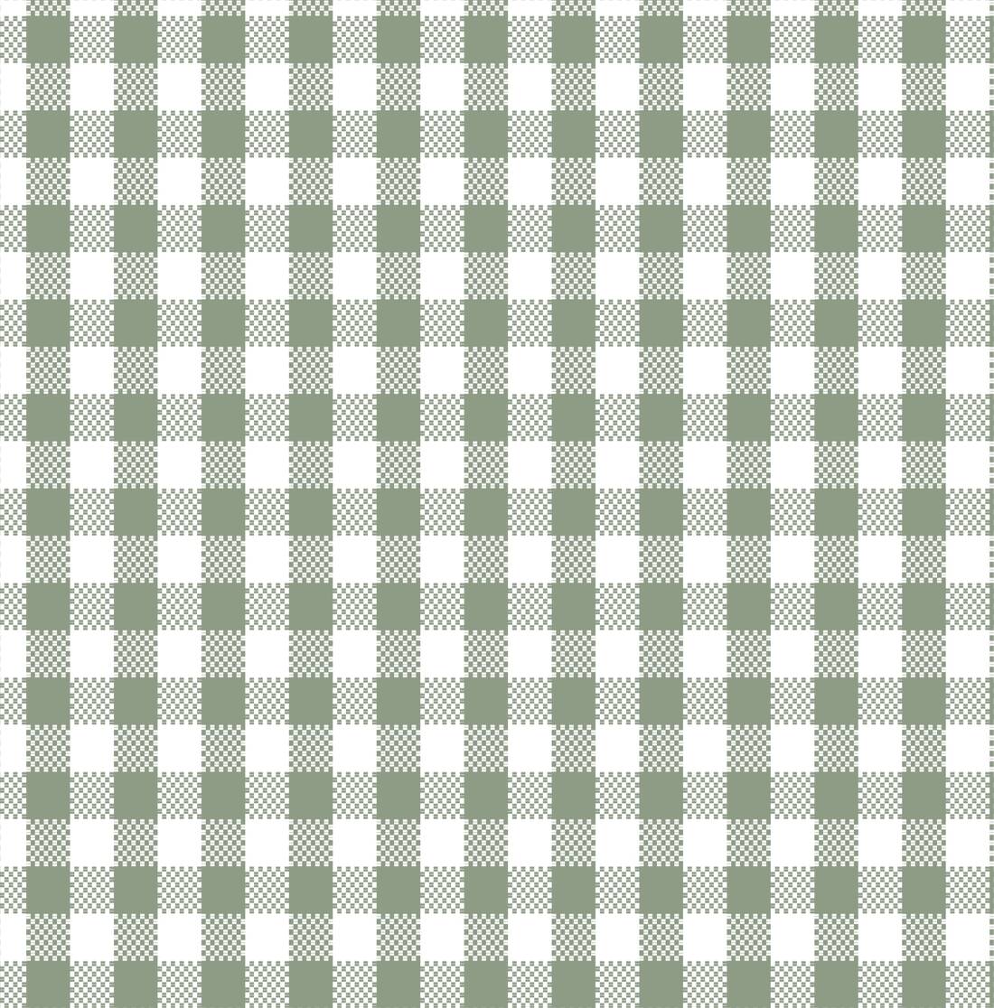 OXFORD COTTON CHECKS